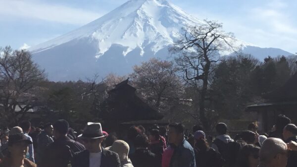 Mt.Fuji Tour of Fugatsu-Fuketsu & Oshino Hakkai