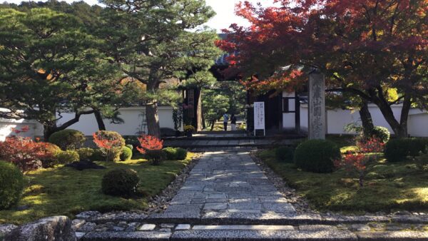 Kyoto Autumn Color Leaves of Enkoji and Modern Architecture near Nishijin